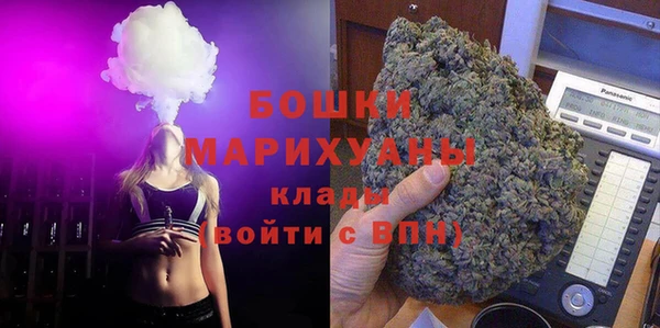 скорость Гусев
