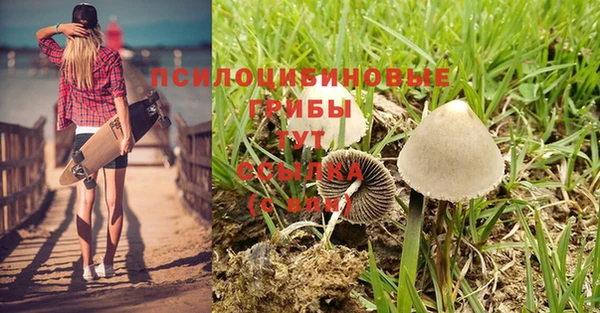 марки lsd Гусиноозёрск