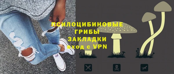 скорость Гусев