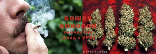 скорость Гусев