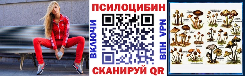 нарко площадка Telegram  Заринск  Галлюциногенные грибы мухоморы 